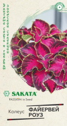 Колеус Файервей Роуз 4шт. цветной пакет Саката Гавриш