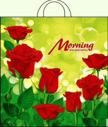 Пакет подарочный ПВД петлевой 38х42см 40мкм Утро ПР3842УТ