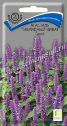 Агастахе Виват синий гибридный 10шт. цветной пакет Поиск