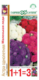 Астра Маленькая леди карликовая смесь 0,6г цветной пакет серия 1+1 Гавриш