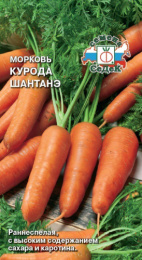 Морковь Курода Шантанэ   2г цветной пакет Седек