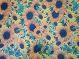 Термоскатерть ПВХ прямоугольная  60х100см двусторонняя, в ассортименте