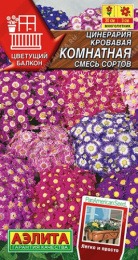 Цинерария Комнатная смесь сортов 30шт цветной пакет Аэлита