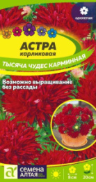 Астра Тысяча чудес карминная карликовая 0,15г цветной пакет Семена Алтая
