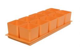 Набор для рассады пластиковый 10шт. 460х180х95мм, объем горшка - 500мл, оранжевый* Чипполино 0336*