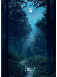 Книжка записная А6  96 листов Лунные пейзажи-1, книжный переплет ЗК96-0082