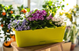 Ящик для цветов балконный пластиковый  40х17х13см Прованс с поддоном 6л, фисташковый 5plast 5PL0338