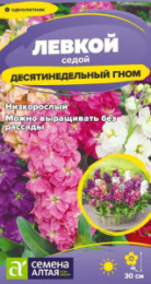 Левкой Десятинедельный гном седой 0,05г цветной пакет Семена Алтая