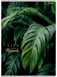 Тетрадь  96 листов А4 Зеленые листья 96-8927