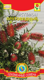 Каллистемон Прутовидный 3шт. цветной пакет Плазменные семена