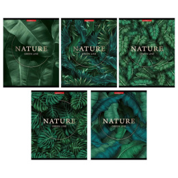 Тетрадь  96 листов линейка Ботаника 13222/5