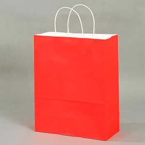 Пакет подарочный бумажный 26х33х12см Радужный Дом РД21485