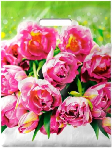 Пакет подарочный ПВД 30х40см 50мкм Натюрель ПВ3040НАТ