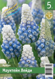Мускари Маунтейн Лейди  5шт. Эконом Colorline
