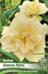 Лилейник Шникель Фритц 1шт. Colorline