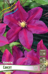 Клематис Сансет 2шт. Colorline