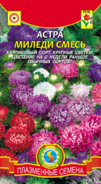 Астра Миледи смесь 0,1г цветной пакет Плазменные семена