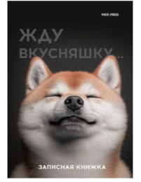 Блокнот А6  48 листов Милый забавный пес, книжный переплет 48-7096