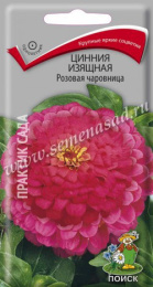 Цинния Розовая чаровница изящная 0,3г цветной пакет Поиск