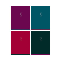 Тетрадь  96 листов BG Monocolor Bright Color Т5СК96_ТФ 11120