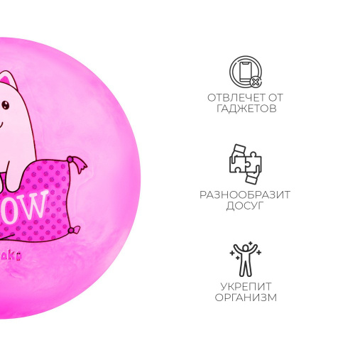 Мяч ПВХ 22см Meow, 60г Zabiaka 4160688