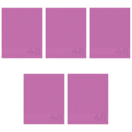 Тетрадь  48 листов Амарантовый 15021/5