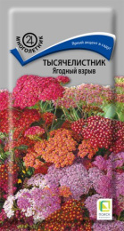 Тысячелистник Ягодный взрыв 10шт. цветной пакет Поиск