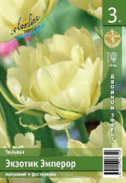 Тюльпан Экзотик Эмперор  2шт. Эконом Colorline