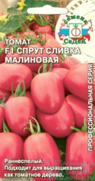 Томат Спрут сливка малиновый F1 0,03г цветной пакет Седек