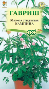 Мимоза Кампина стыдливая 0,1г цветной пакет Гавриш