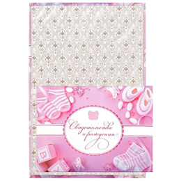 Папка адресная Свидетельство о рождении А5 Devente 3078516