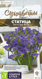 Статица (Лимониум, кермек) Хипстер Блю 5шт. цветной пакет Сухоцветы Семена Алтая