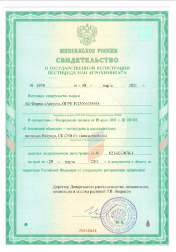 Табу Экстра + Интрада 10мл + 10мл для обработки клубней от колорадского жука, проволочника и почвенных инфекций Avgust
