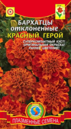 Бархатцы отклоненные (Тагетес) Красный герой 15шт. цветной пакет Плазменные семена