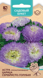 Астра Царица серебристо-голубая хризантемовидная 0,1г цветной пакет серия Садовый букет Поиск
