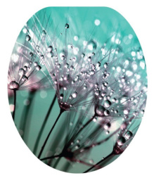 Сиденье для унитаза мягкое с рисунком Роса Океан 103-311-01-В-34