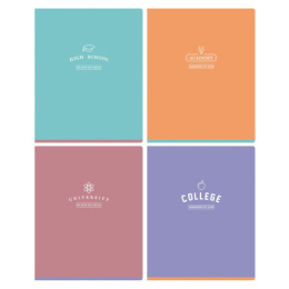 Тетрадь  48 листов BG Academy Т5СК48_ЛС 12258