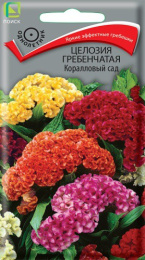 Целозия Коралловый сад гребенчатая 0,1г цветной пакет Поиск