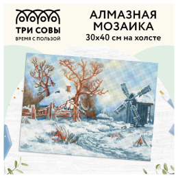 Алмазная мозаика на холсте 30х40см Зима в деревне Три совы АМ3040_47528