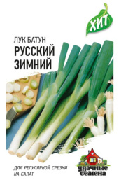 Лук батун Русский зимний  0,5г цветной пакет серия Хит Гавриш