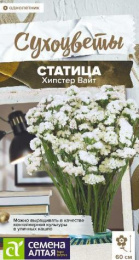 Статица (Лимониум, кермек) Хипстер Вайт 5шт. цветной пакет Сухоцветы Семена Алтая
