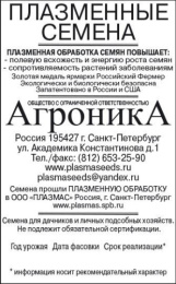 Астра Когти Тигра смесь 0,3г белый пакет Плазменные семена