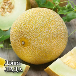 Дыня Лада 25г фермерский пакет Гавриш