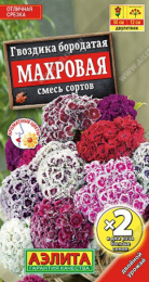 Гвоздика турецкая (бородатая) Махровая смесь окрасок 0,2г цветной пакет двойная граммовка Аэлита