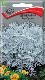 Цинерария Серебряная 0,2г цветной пакет Поиск