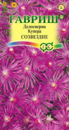 Делосперма Созвездие, Купера  7шт. цветной пакет Гавриш