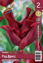 Тюльпан Рэд Дресс  2шт. Эконом Colorline