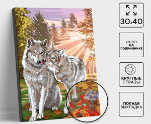 Алмазная вышивка на подрамнике 30х40см Волки 5371221