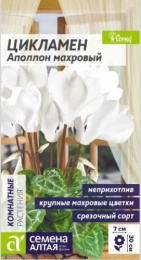 Цикламен Аполлон махровый 3шт. цветной пакет Семена Алтая