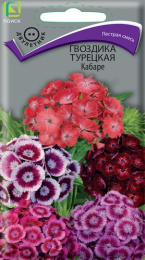 Гвоздика турецкая (бородатая) Кабаре 0,3г цветной пакет Поиск